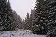 Kopaonik@Serbia.Europe.World
2002:12:06 11:57

(c) Zoran Zivotic 2002
